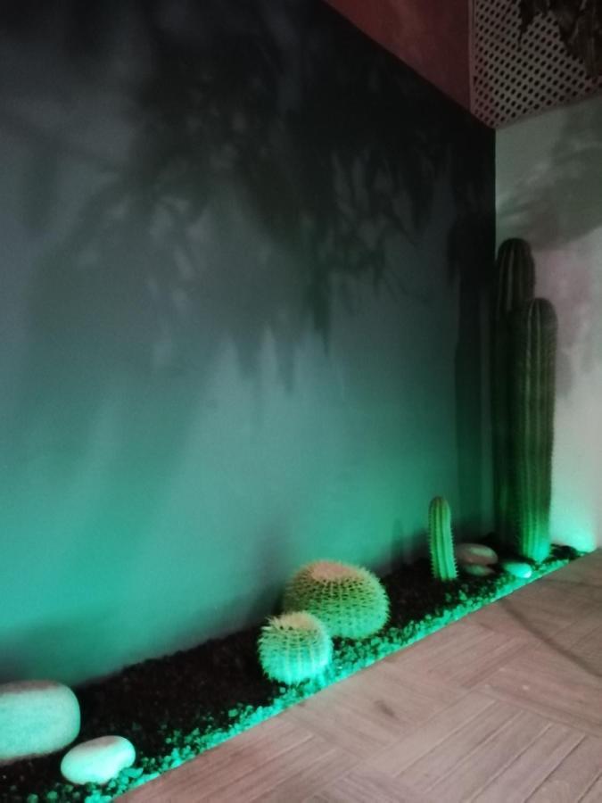 فيلا Casa Guadalupe Y Roque سانتا كروز دي تينيريف المظهر الخارجي الصورة